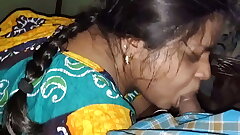 Indian Aunty Big Cock Sucking With Dirty Hindi Sex Chat